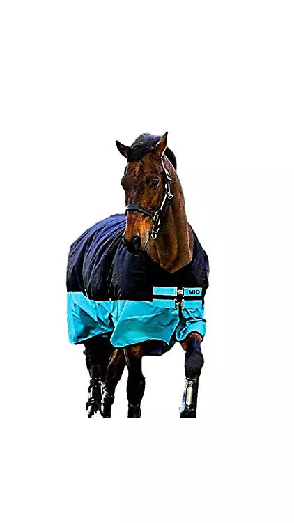 Black/Turquoise