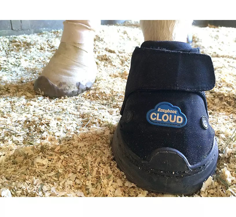 EasyCare Easyboot Cloud Hoof Boot