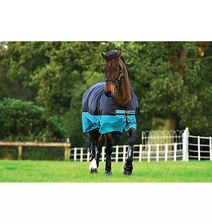 Mio Turnout Sheet Lite