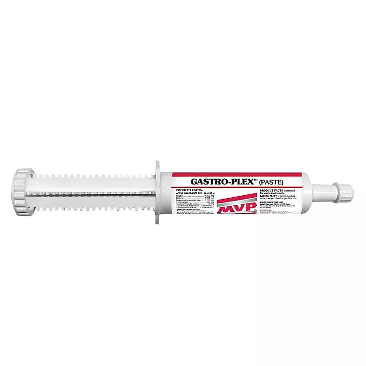 MVP Gastro-Plex Paste