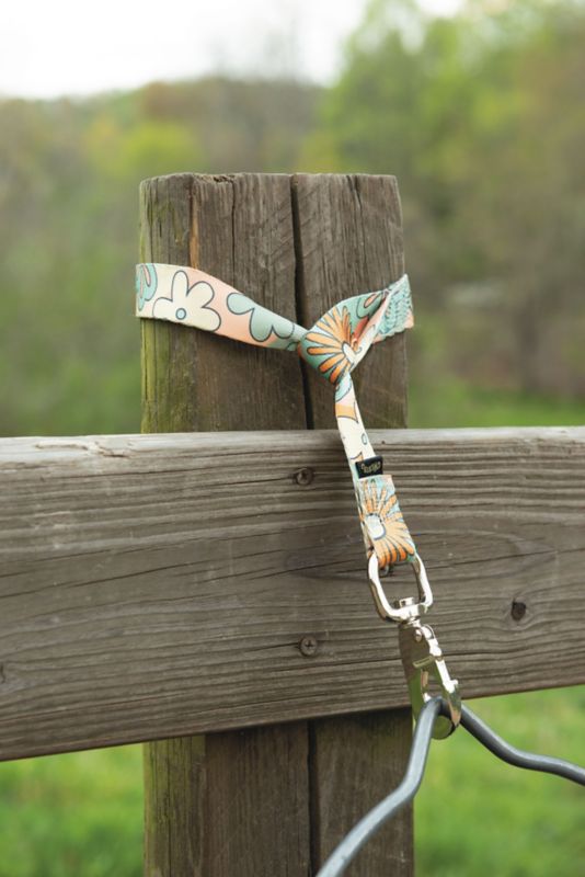 Weaver Nylon Bucket Strap 1in x 22in