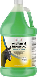 Durvet Antifungal Equine Shampoo 1 Gallon