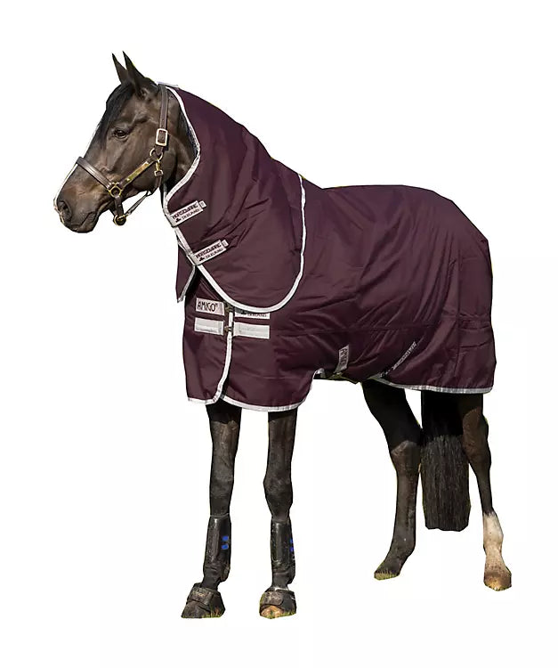 Burgundy Fig