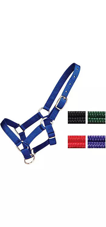 Tough1 Miniature Nylon Halter