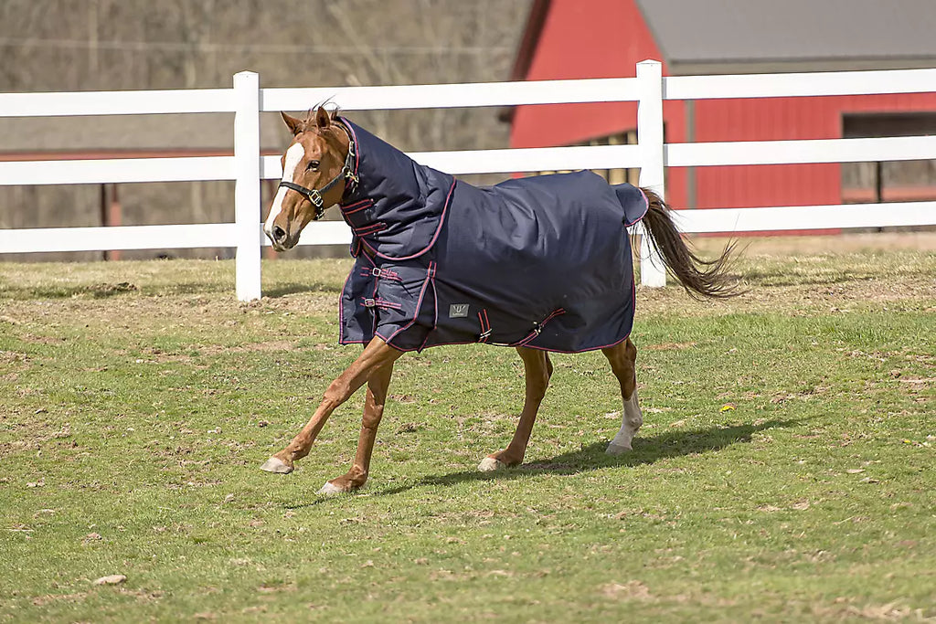 TuffRider 1200D Comfy Medium DAN Blanket